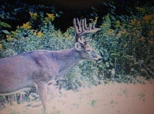 N8477 5th Ave, Camp Douglas, WI 54618