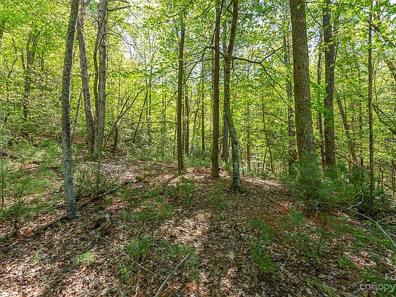 4th image of 284 Dockside Dr Lot 10A
