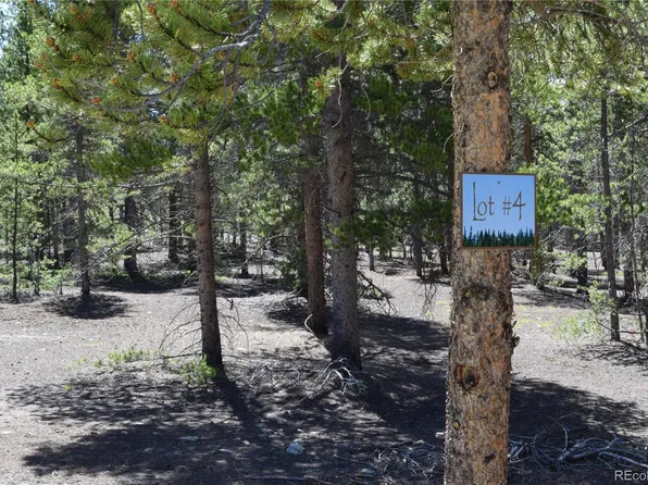 250 Snowshoe Rabbit Dr, Leadville, CO 80461