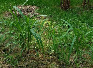 140 Antelope Ln, Seguin, TX 78155