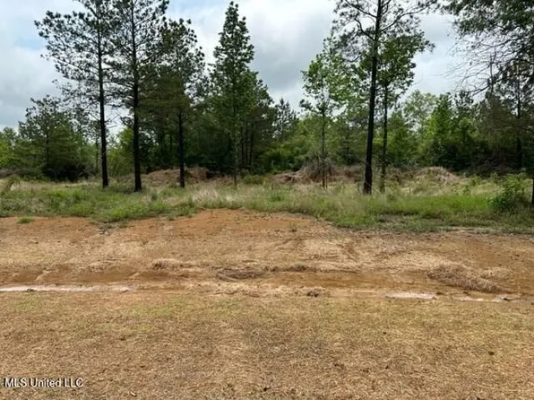 Bent Crk Lot 21, Picayune, MS 39466