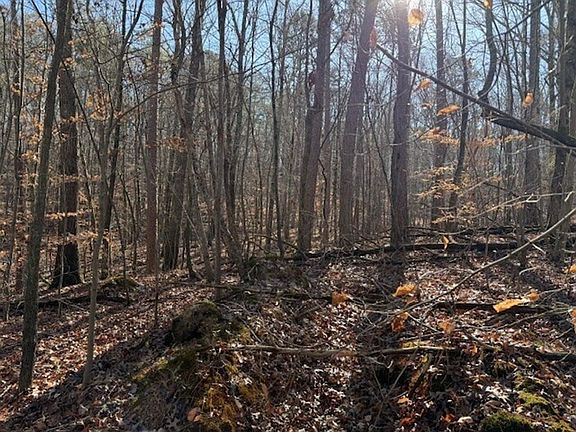 3rd image of 1 County Road 751
