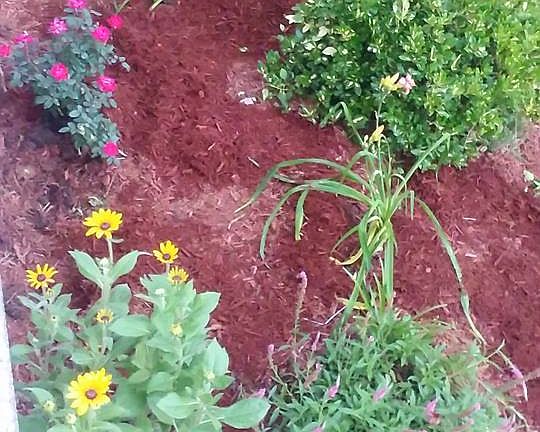 Landscaping