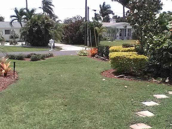 Front yard