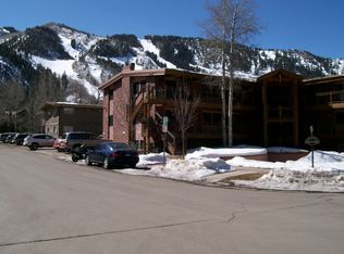 835 E Hyman Ave APT C, Aspen, CO 81611