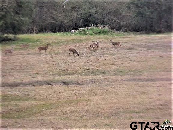 2nd image of 12783 County Road 4245 W