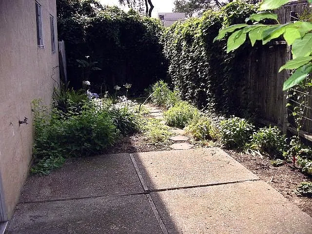 1903 Virginia St #3 — Photo 9