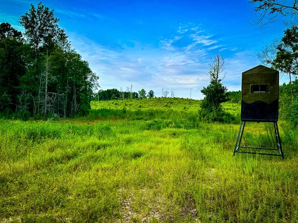0 Segno Fire Ln, Livingston, TX 77351