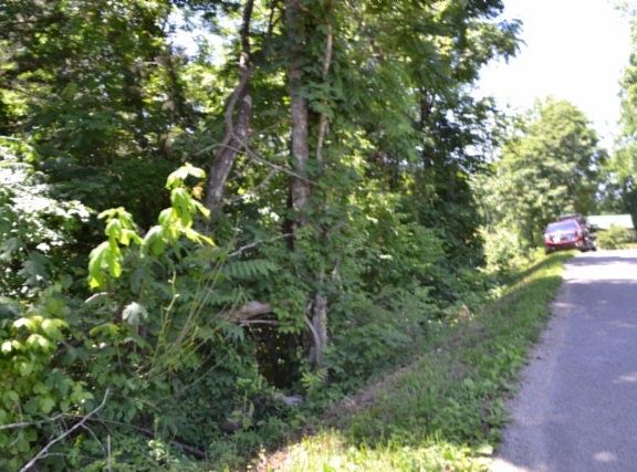 5th image of 0 Pea Ridge Fire Tower Rd