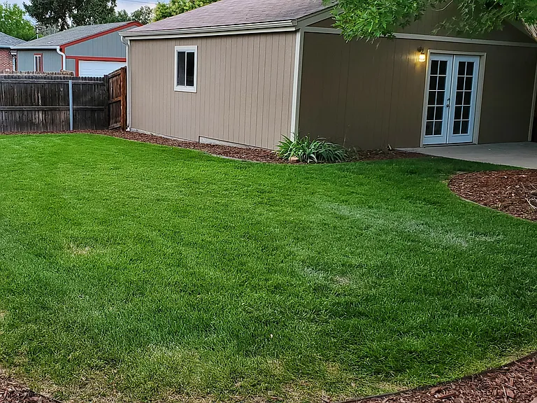 2415 Olive St — Photo 50