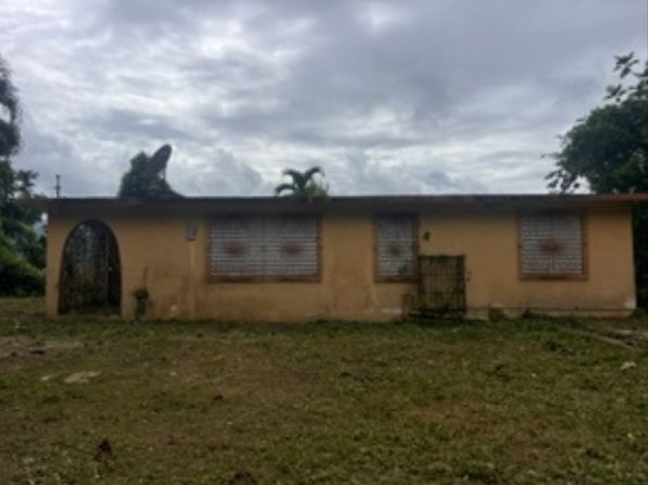 1 Carr Dm #146-13.1, Ciales, PR 00638