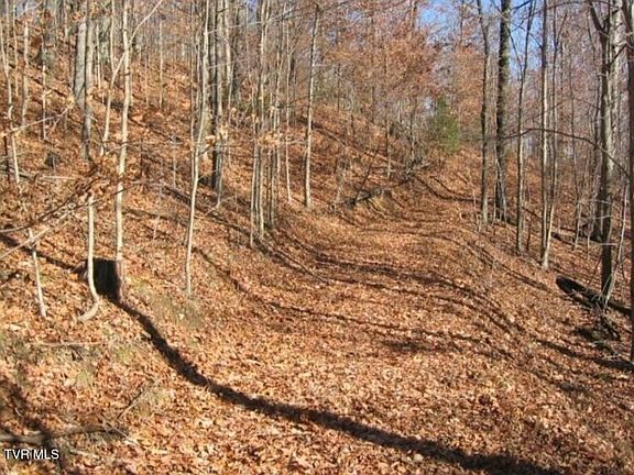 3rd image of Bailey Cemetery Rd