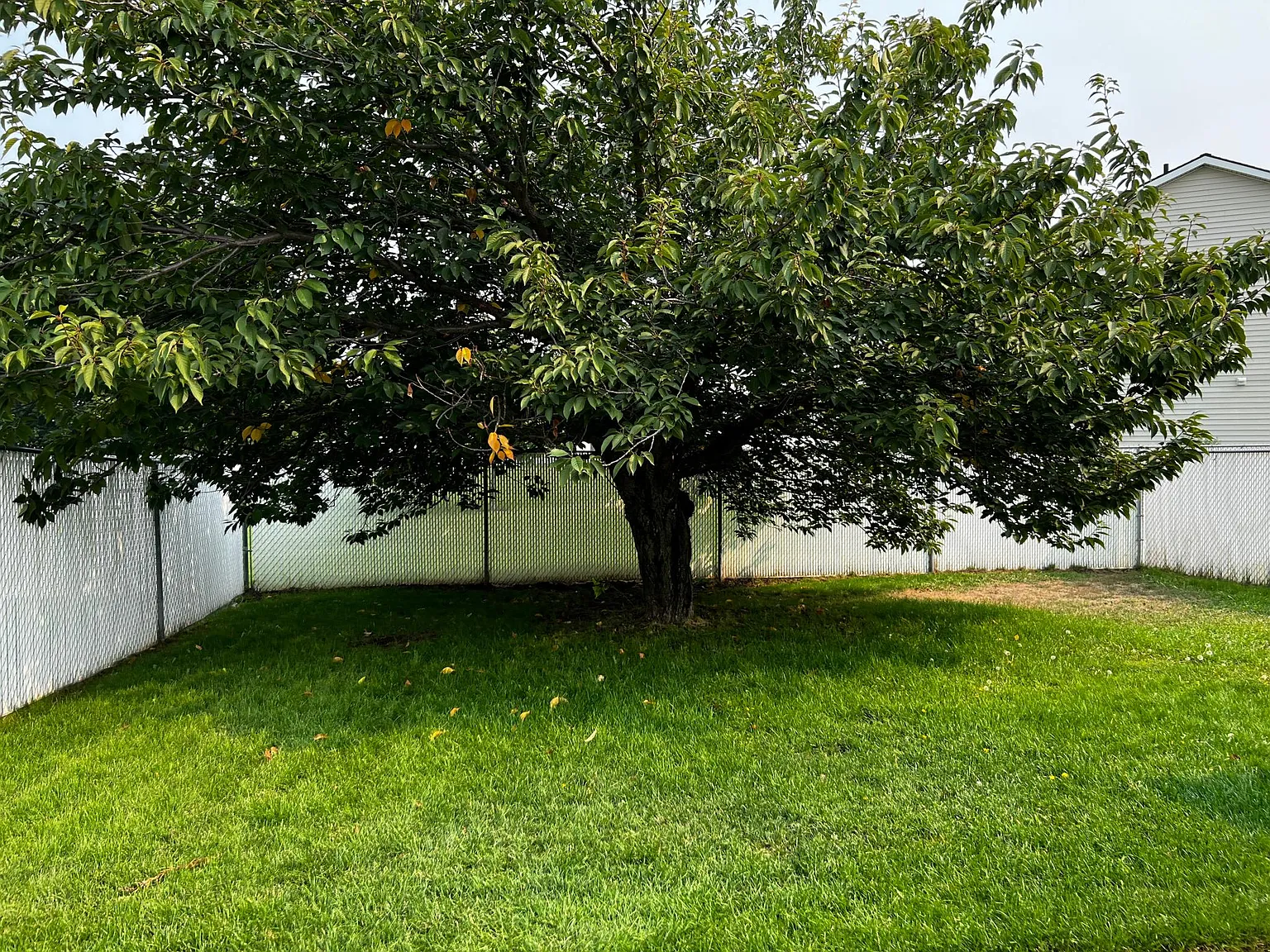 3 bed, 1672 sqft, $1,700 — Photo 3