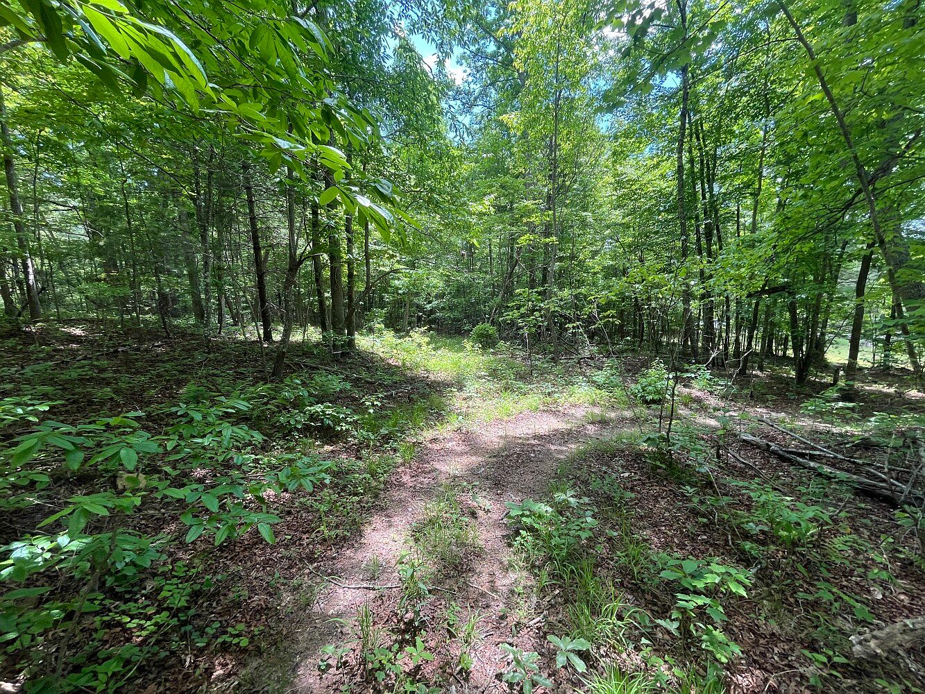 0 Coon Hollow Rd, Sunbright, TN 37872 | MLS #11284125 | Zillow