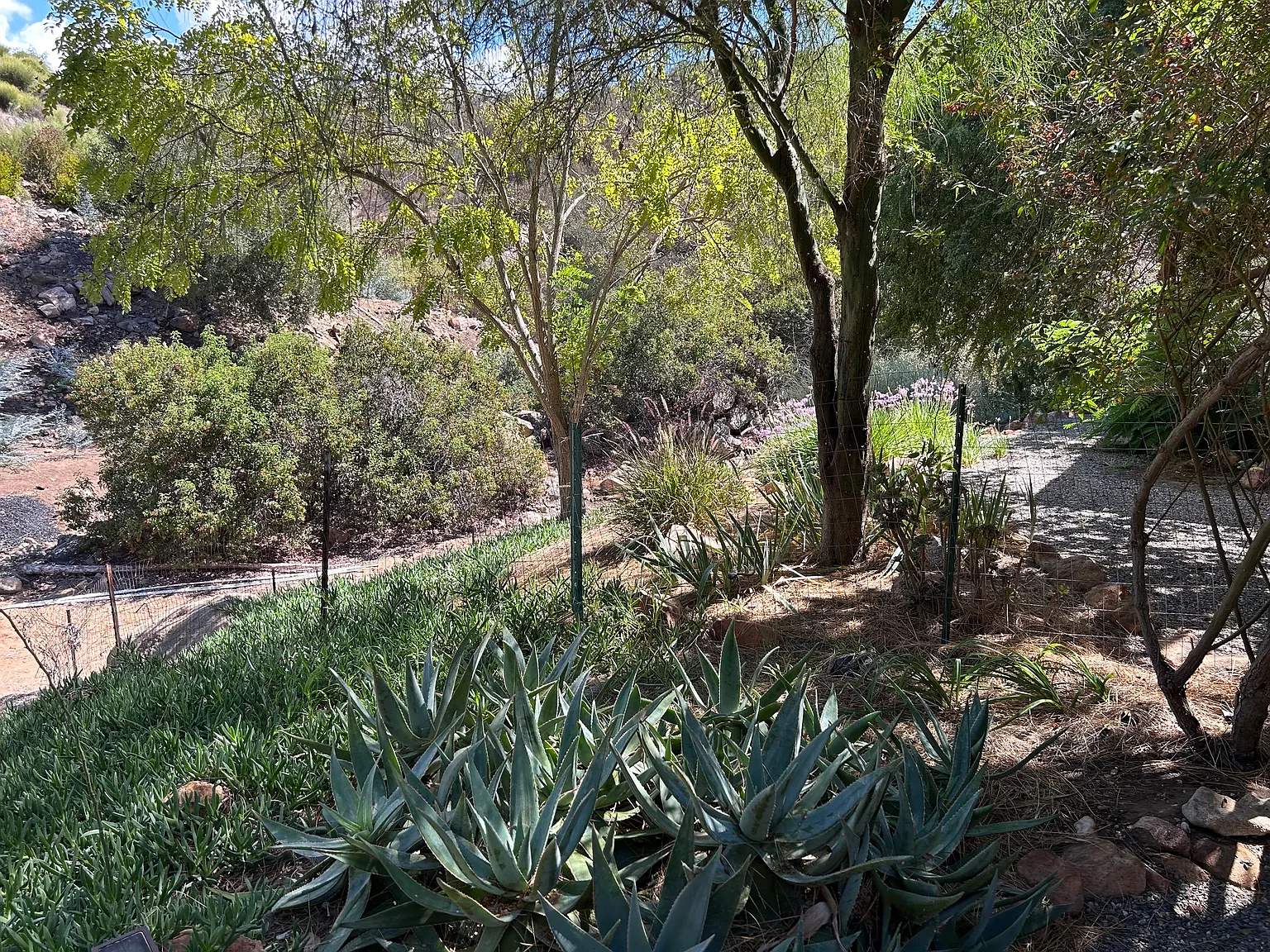 Anthony Rd, Valley Center — Photo 1