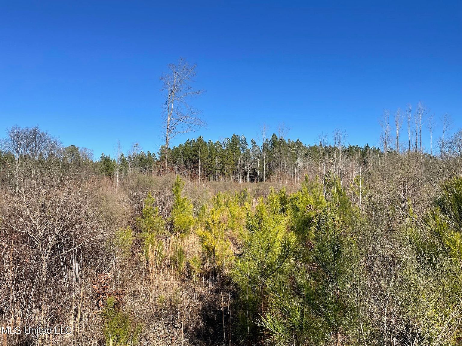 Bridges Rd, Kilmichael, MS 39747 Zillow