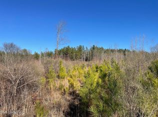 Bridges Rd, Kilmichael, MS 39747