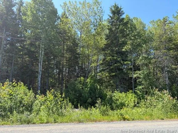 4 Rosehill Rd, Bathurst, NB E2A 7H3