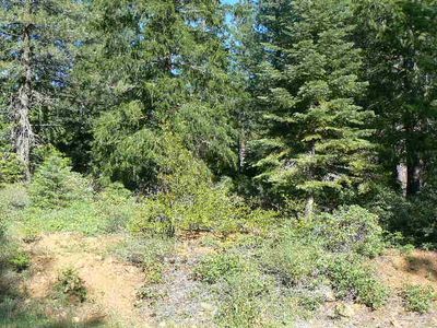 90 River Bend Way, Westwood, CA, 96137
