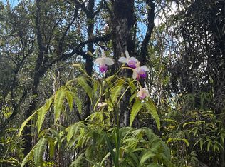 11-1748 Mahina St, Mountain View, HI 96771