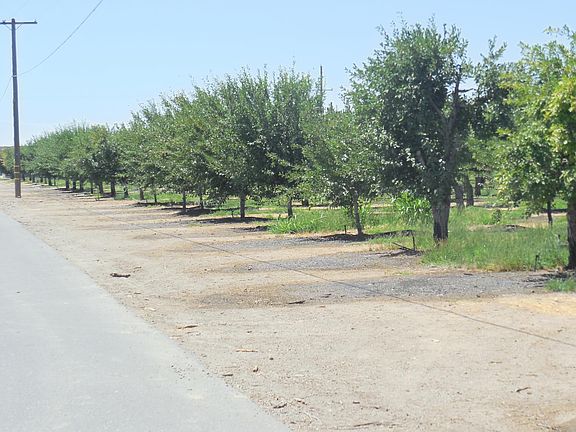3rd image of 2200 Encinal Rd