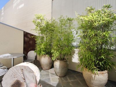 701 Minna St APT 8, San Francisco, CA, 94103