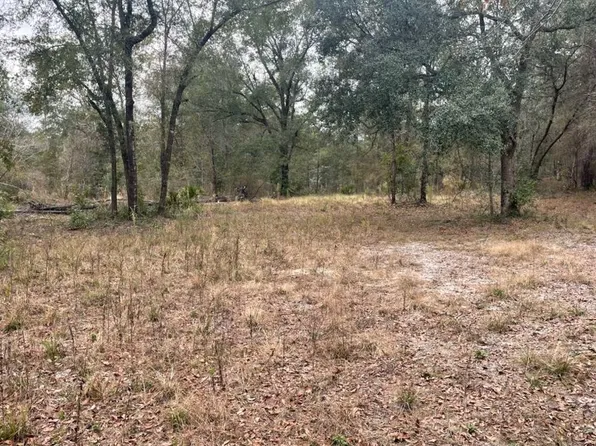 NW 15th Ave, Bell, FL 32619