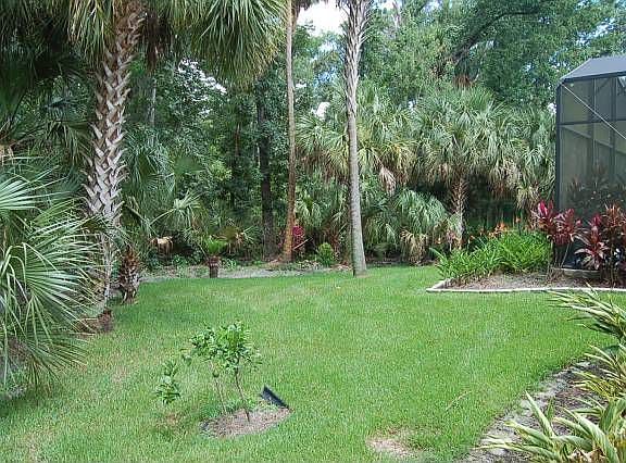 Private Back Yard