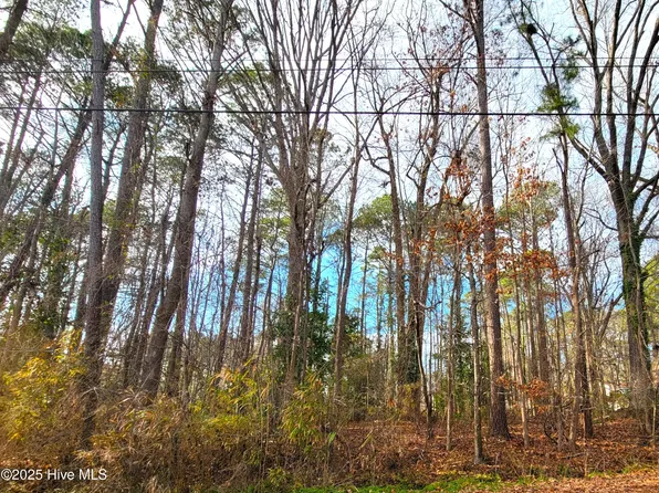 Lot 34 Brassie Drive, Grifton, NC 28530