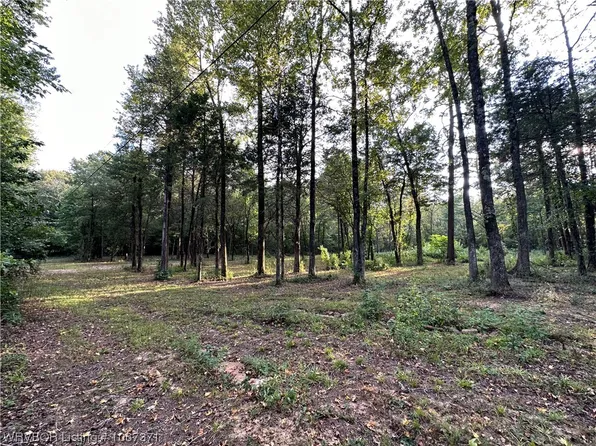 Tbd Old 88, Rudy, AR 72952
