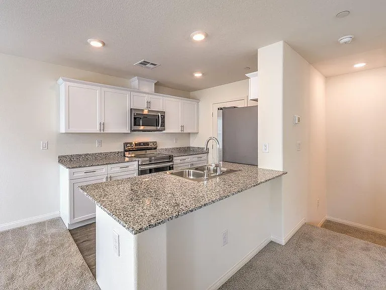 2666 Champagne Gold Ave — Photo 9