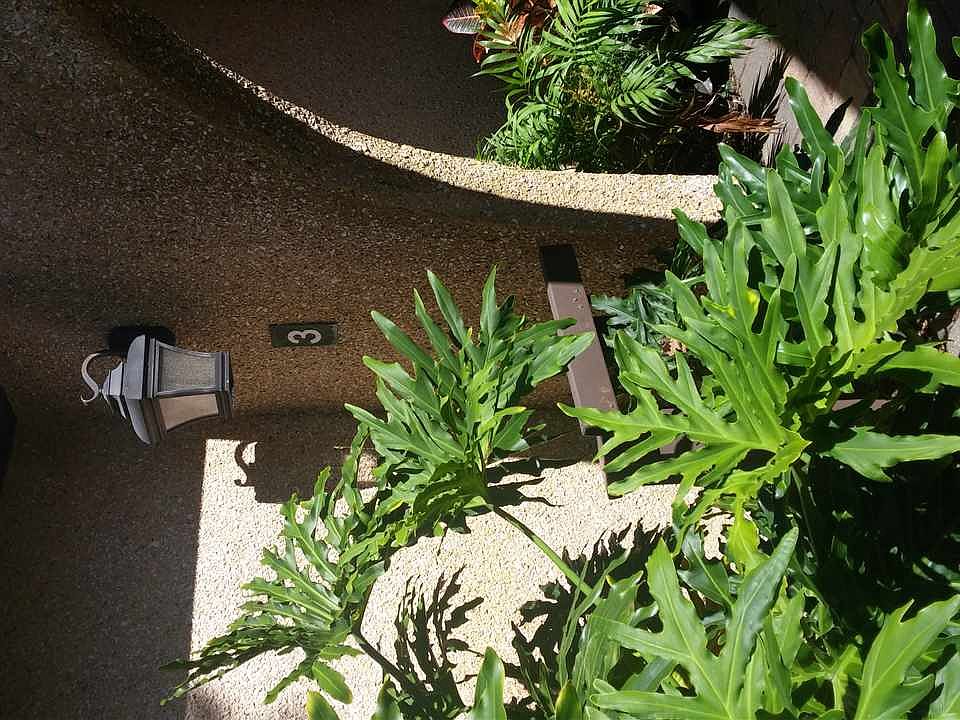2nd image of 3 Miruela Ave