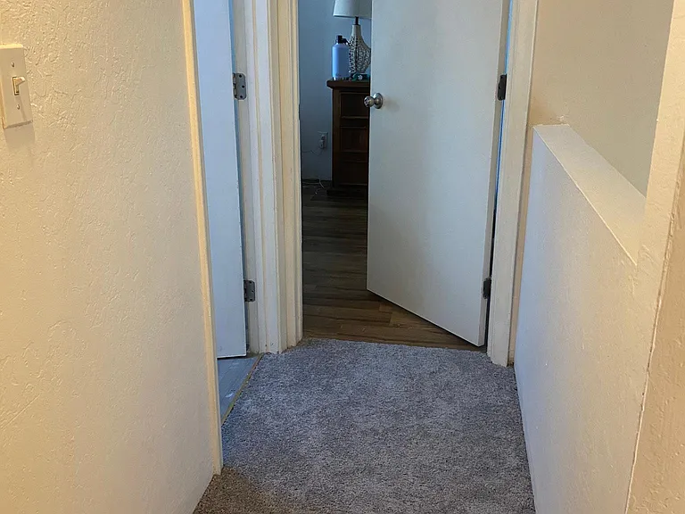 246 E Pastime Rd — Photo 17