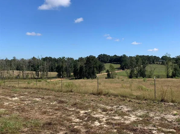 1067 Compton Rd, Brantley, AL 36009