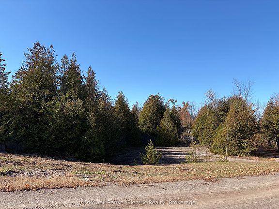 4th image of 237 Tower Rd