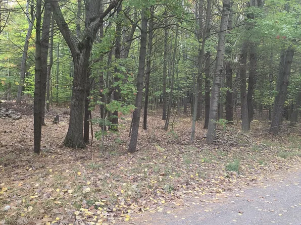 6520 Maple Rd, Ludington, MI 49431
