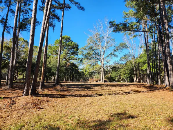 7997 Doar Rd Lot C-1, Awendaw, SC 29429