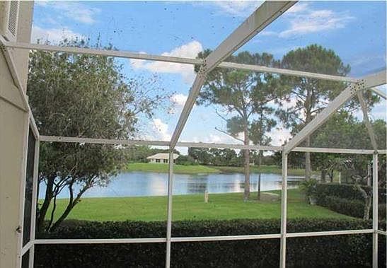 View from Back Patio