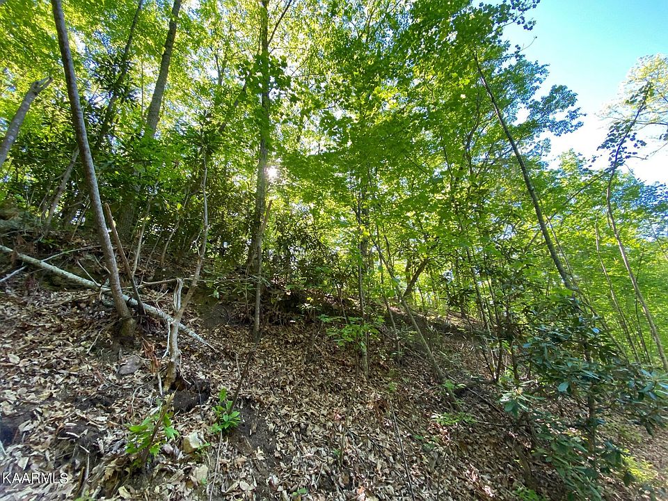 2nd image of LOT 41 Trailer Park Ln