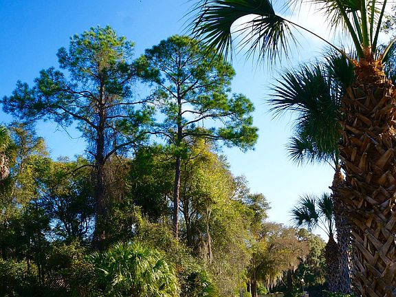 Homesite View 1