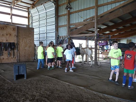 Grooming Area and Tack Lockers