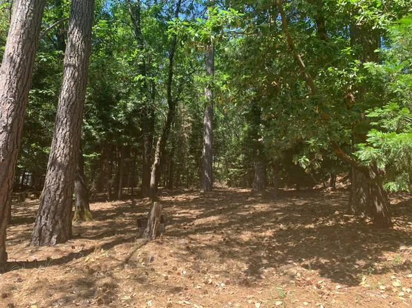 5504 Crestline Dr, Foresthill, CA 95631