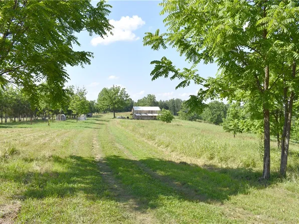 201 May Pop Ln, Marshall, AR 72650