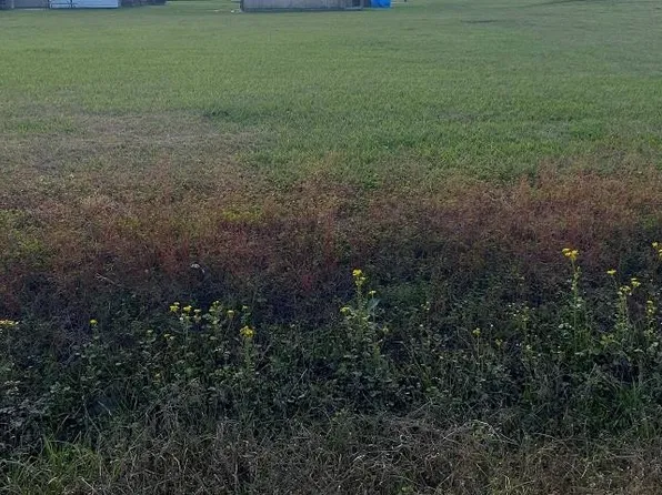 LOT 13 Roy St, Plattenville, LA 70393