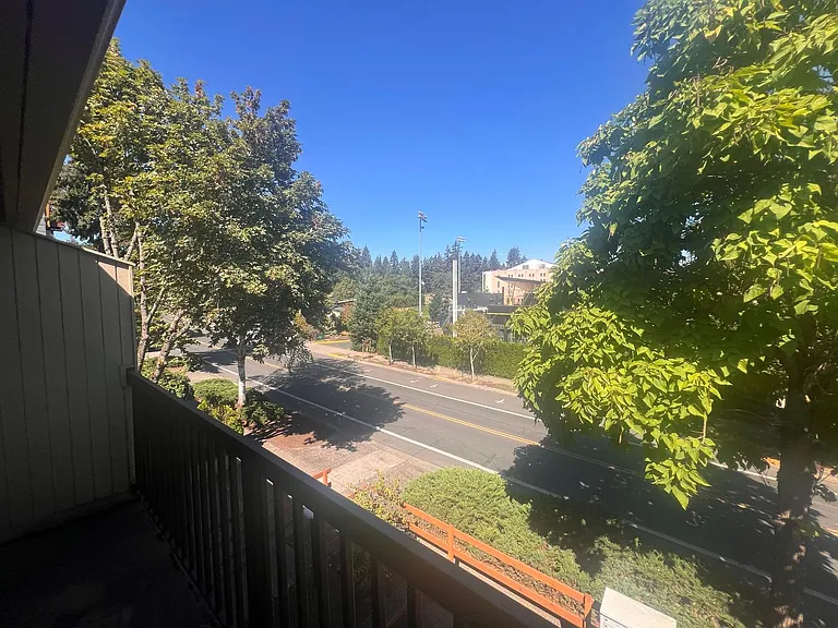 Hayward — Photo 36