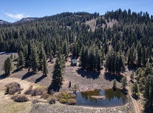 6771 Dixie Valley Rd, Chilcoot, CA 96105