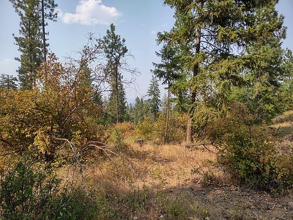 4th image of Xx Lodgepole Ln
