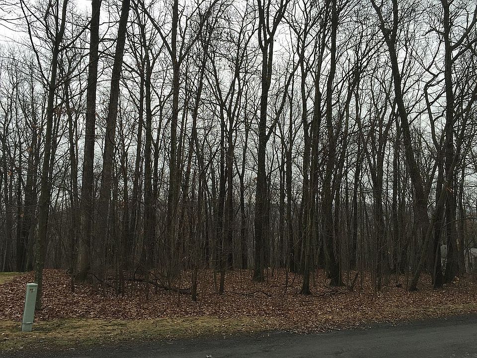 2nd image of Collister Dr