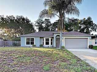 737 Alderwood Ave, Deltona, FL 32738