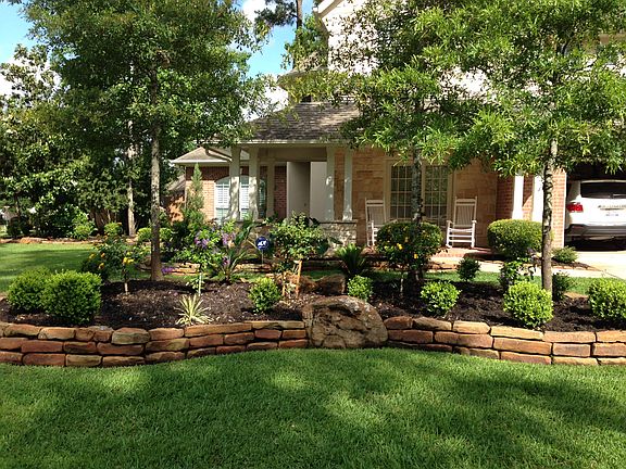 Large corner lot with 31 tre